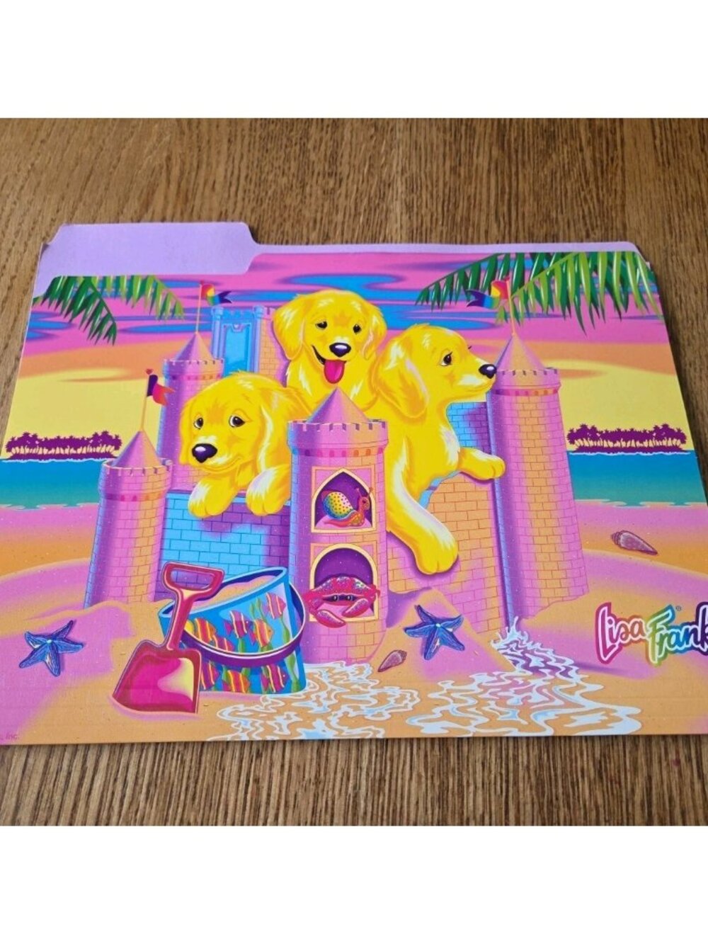 Vintage Lisa Frank Casey & Caymus File Folder Sand Castle Golden Puppies